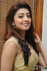 Pranitha at Pandavulu Pandavulu Tummeda Audio Launch